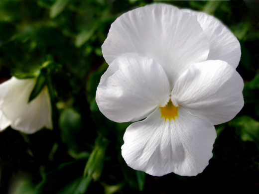 536254 (a): :1600x1200